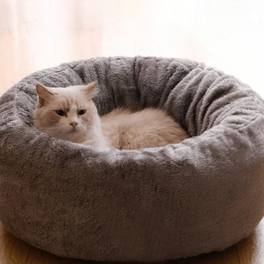 Pets Comfy Bed