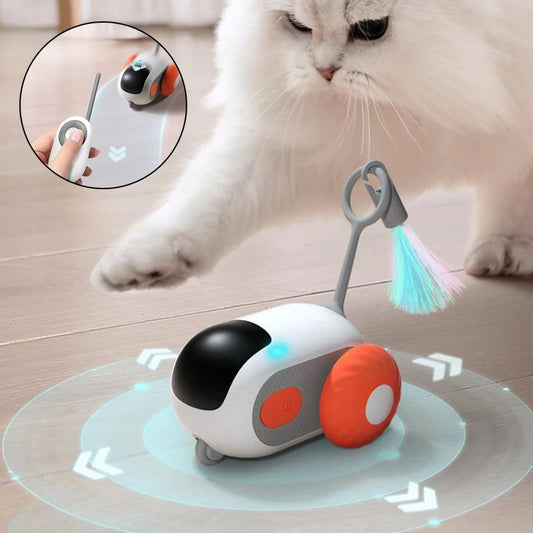 Remote Controlled mouse