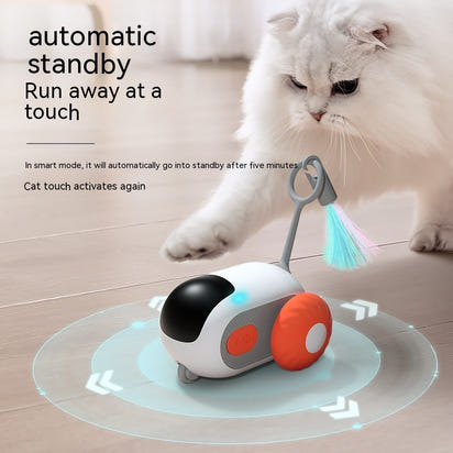 Remote Controlled mouse