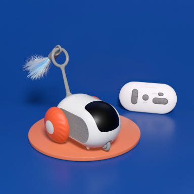 Remote Controlled mouse