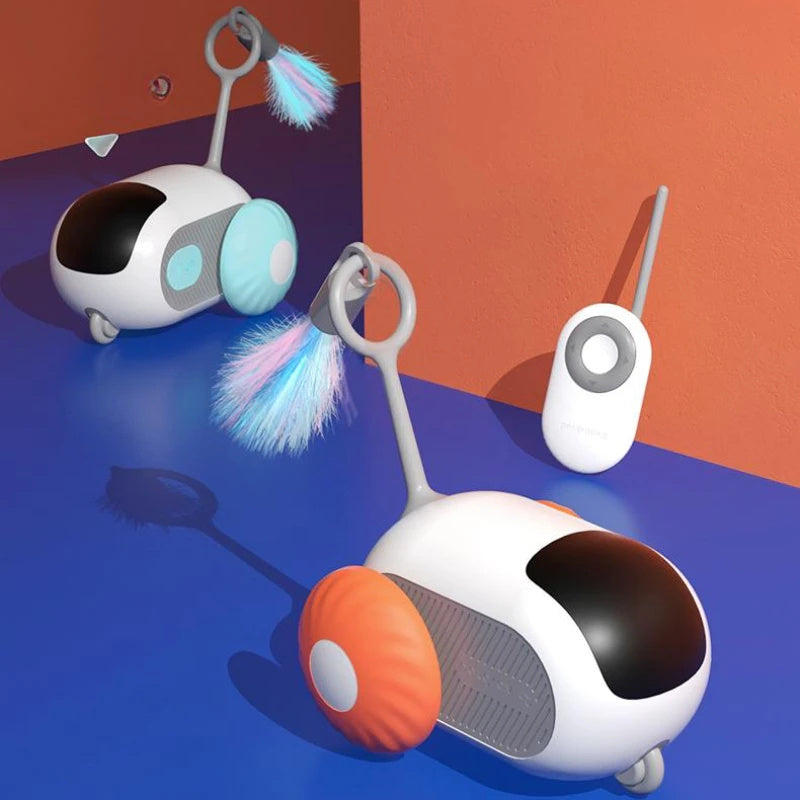 Remote Controlled mouse