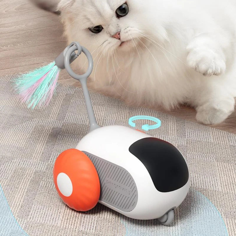 Remote Controlled mouse