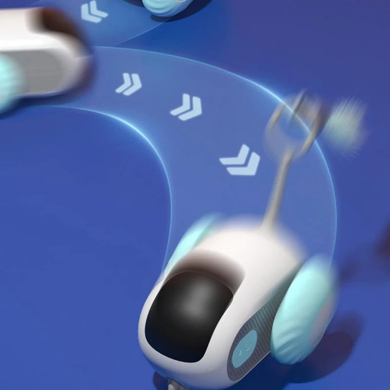 Remote Controlled mouse