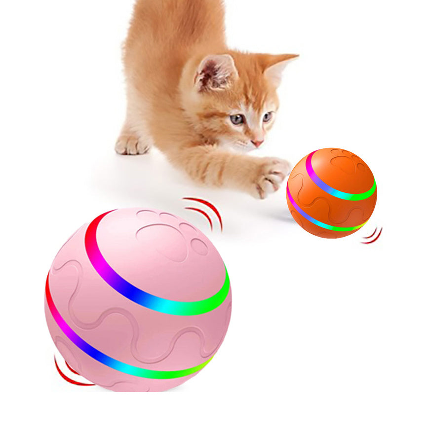 Pets And Cats Wicked Ball