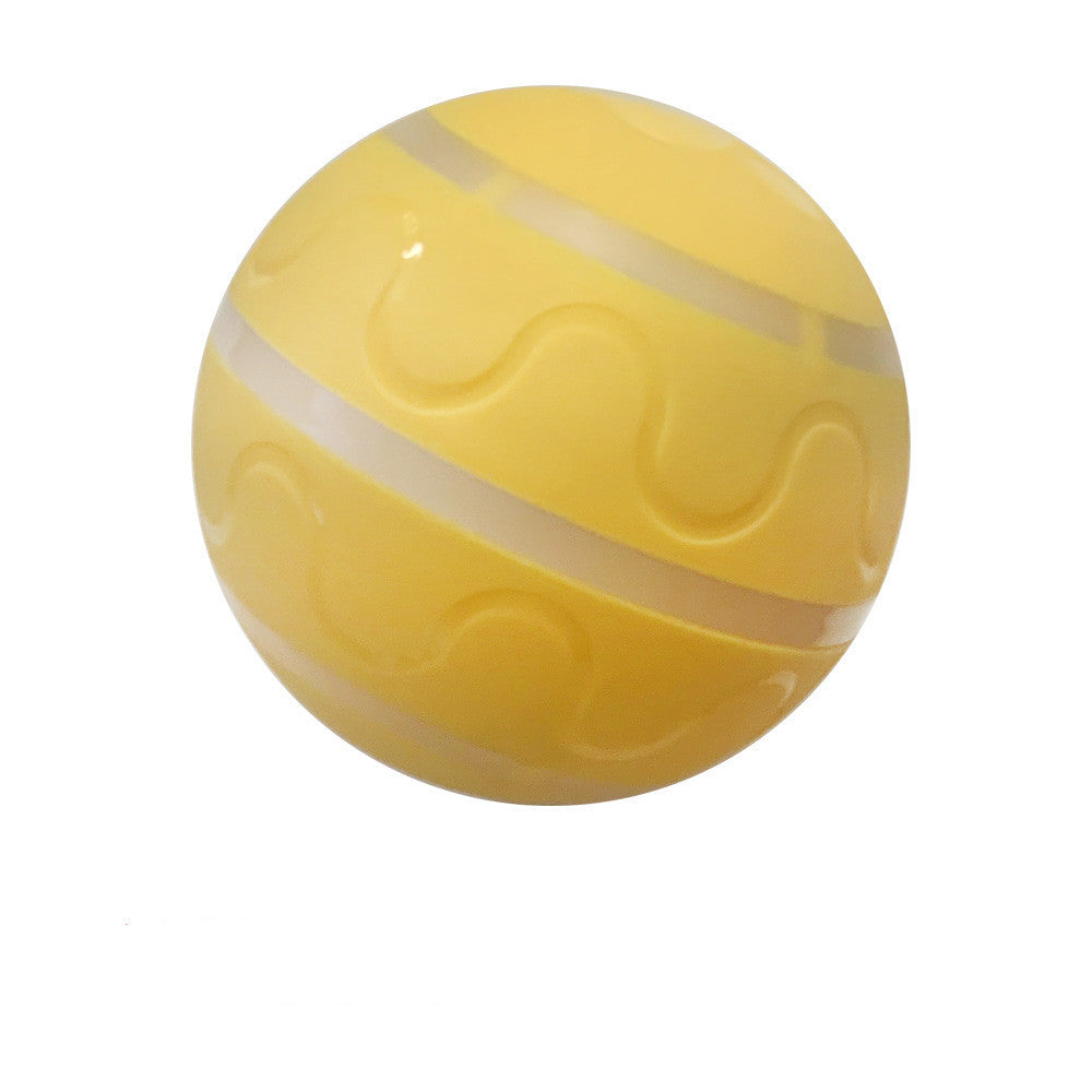 Pets And Cats Wicked Ball