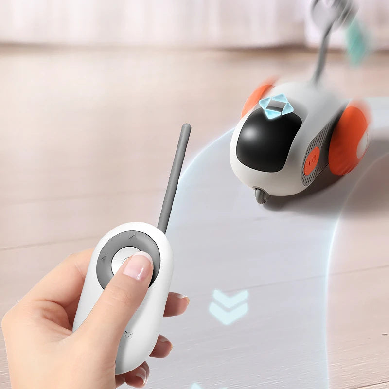 Remote Controlled mouse