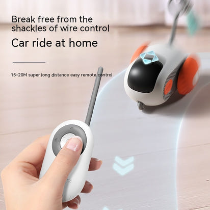 Remote Controlled mouse