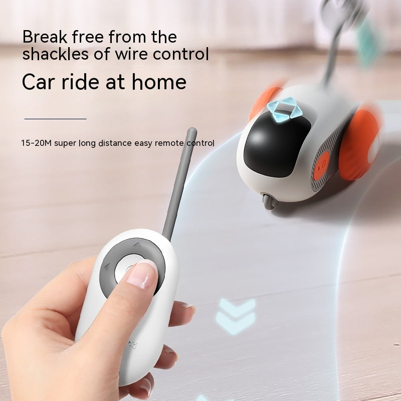 Remote Controlled mouse