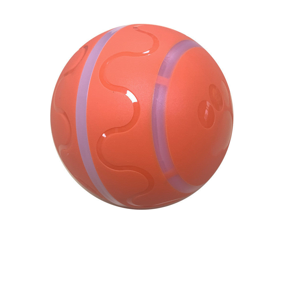 Pets And Cats Wicked Ball