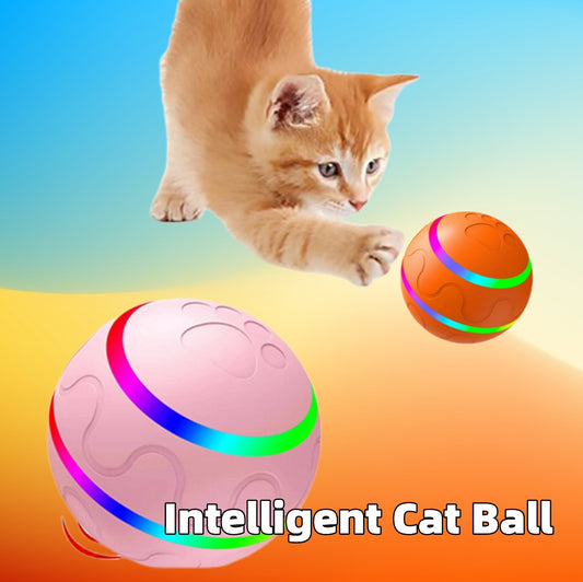 Pets And Cats Wicked Ball
